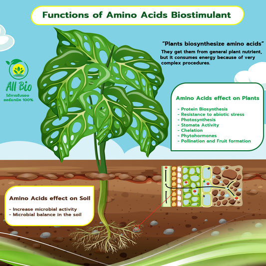 How All Bio ‘s amino acids work with your plants